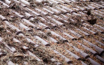 Orchard Leigh roof cleaning companies